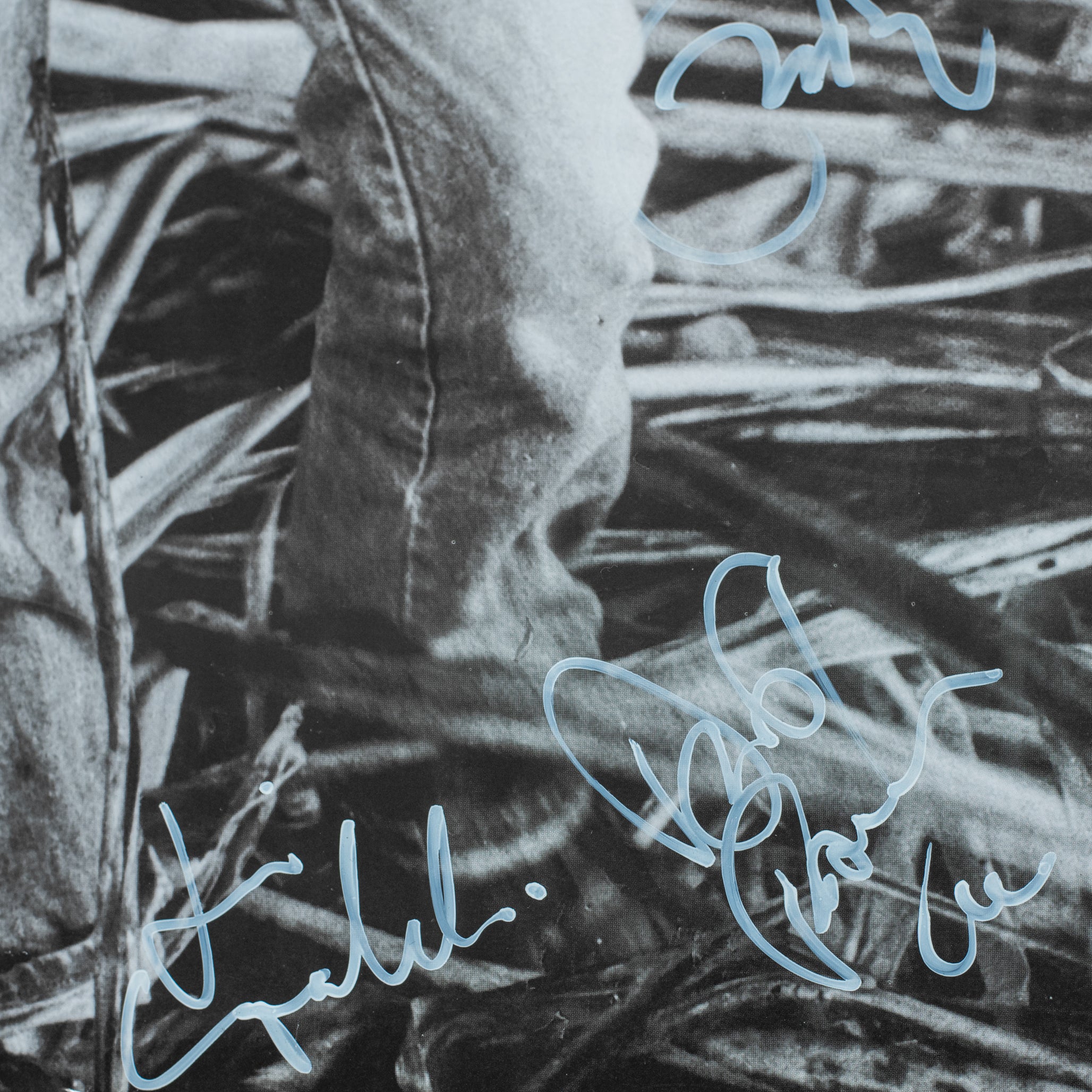 Concert For George / Brainwashed - SIGNED POSTER - signed by Paul McCartney, Ringo Starr, Eric Clapton, Tom Petty, Jeff Lynne & more - Lot 1