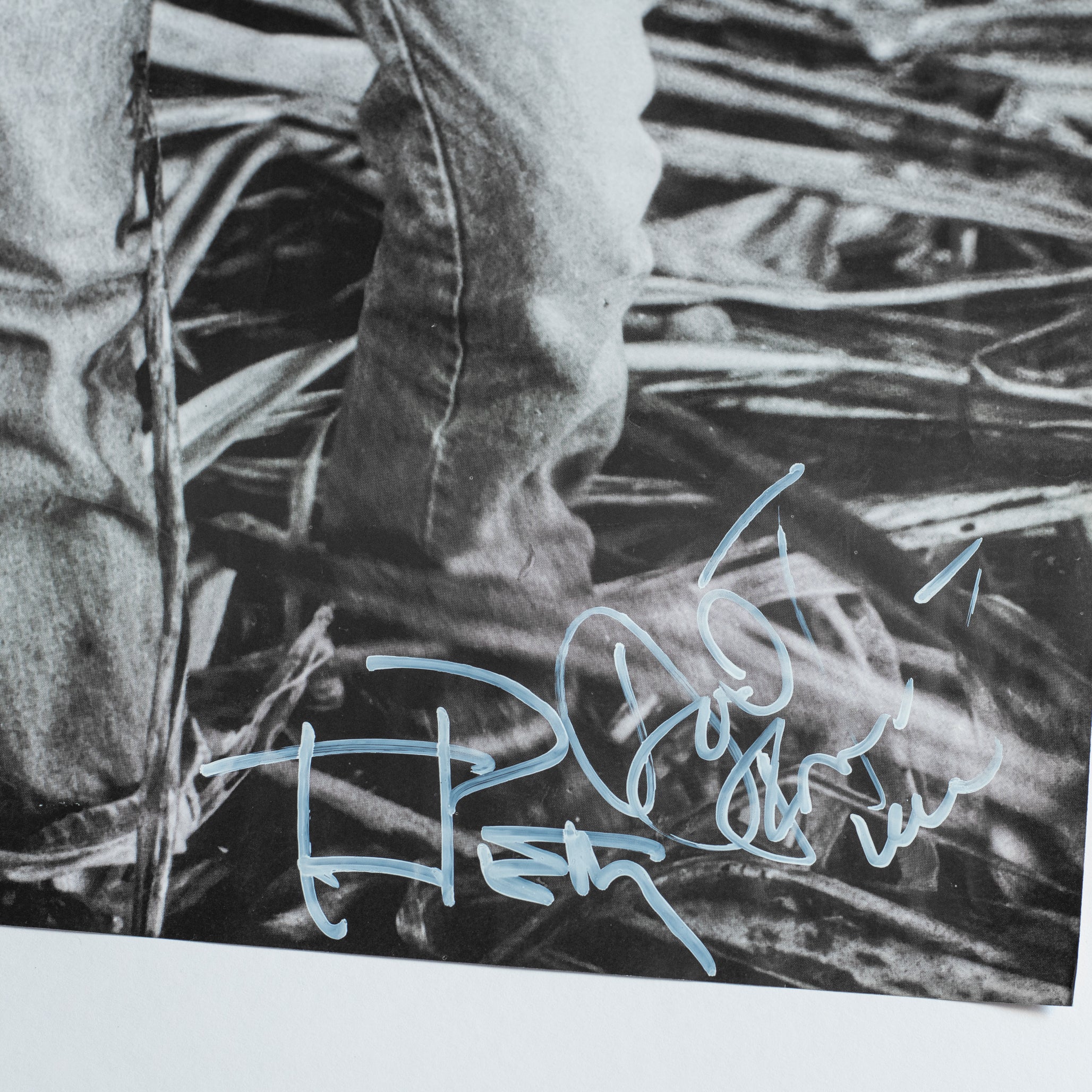 Concert For George / Brainwashed - SIGNED POSTER - signed by Paul McCartney, Ringo Starr, Eric Clapton, Tom Petty, Jeff Lynne & more - Lot 2
