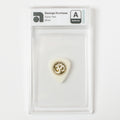 George Harrison Original Guitar Pick - White Color (AMG 50009913)